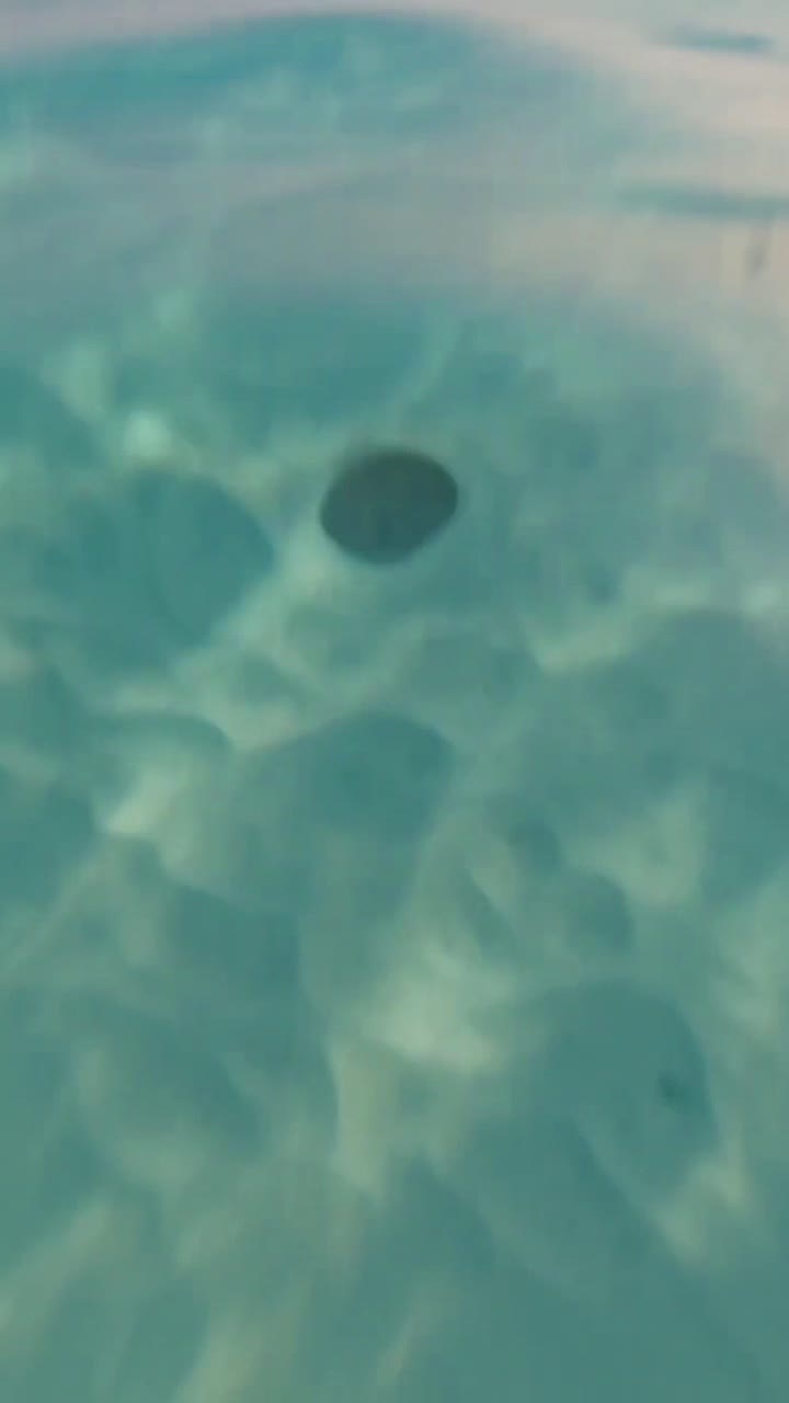 A timber foundation pile meeting clean coral sand beneath clear lagoon water