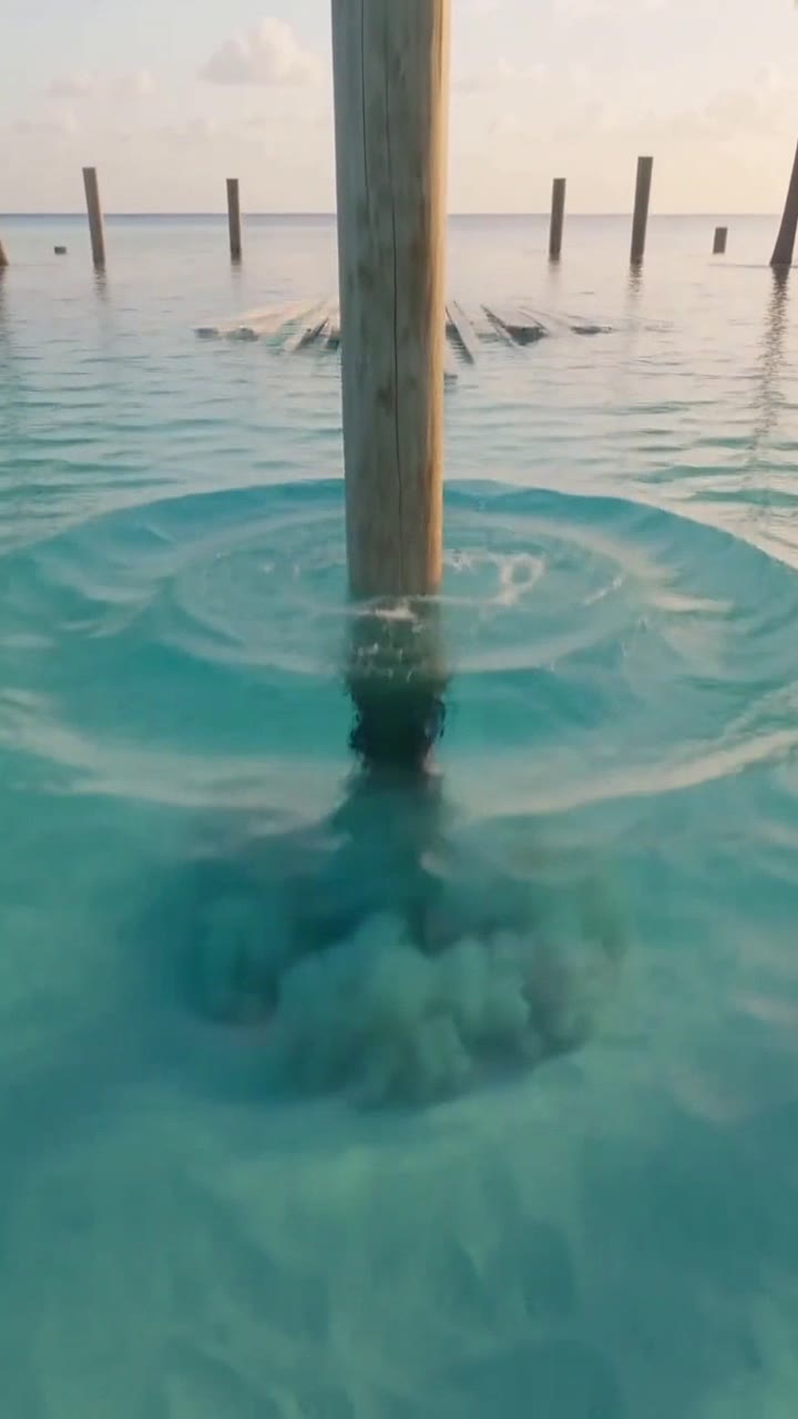 Weathered timber deck and battens rising into a circular overwater ring
